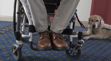 Man in a wheelchair with a service dog waiting for elevator